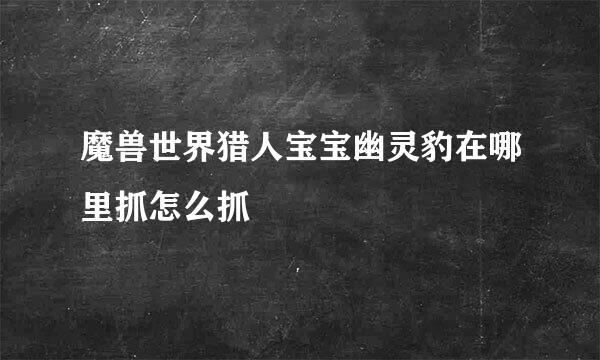 魔兽世界猎人宝宝幽灵豹在哪里抓怎么抓