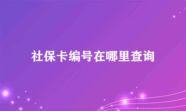 社保卡编号在哪里查询