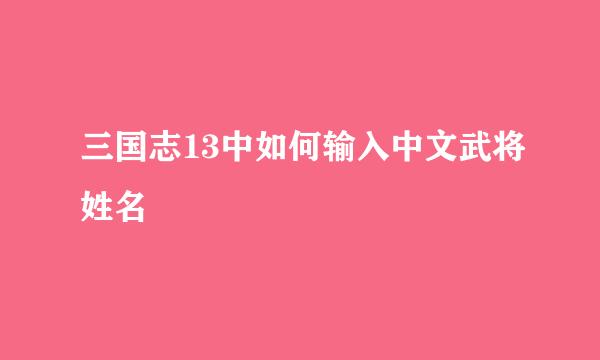 三国志13中如何输入中文武将姓名