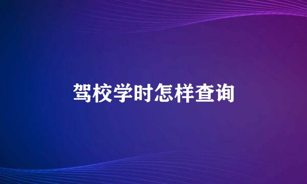 驾校学时怎样查询