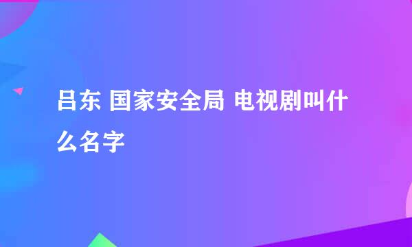 吕东 国家安全局 电视剧叫什么名字