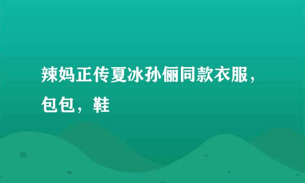 辣妈正传夏冰孙俪同款衣服，包包，鞋