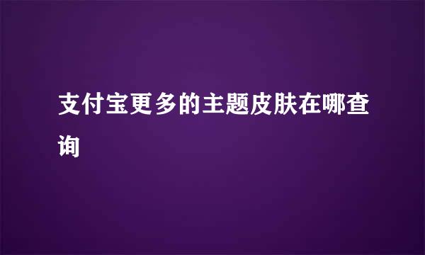 支付宝更多的主题皮肤在哪查询