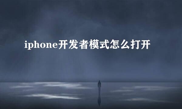 iphone开发者模式怎么打开