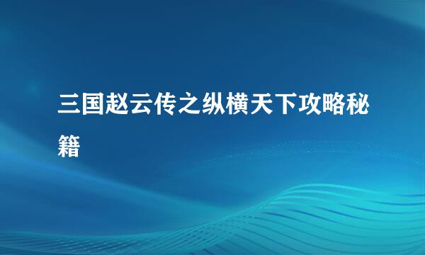 三国赵云传之纵横天下攻略秘籍