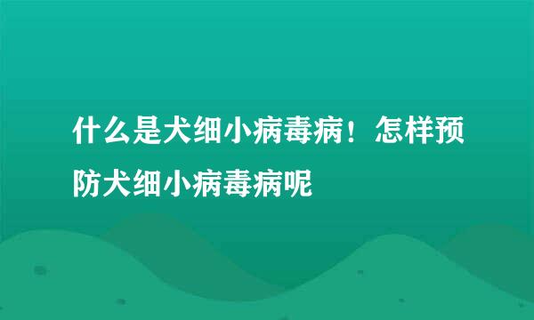 什么是犬细小病毒病！怎样预防犬细小病毒病呢