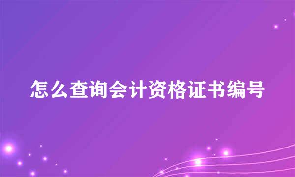 怎么查询会计资格证书编号