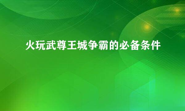 火玩武尊王城争霸的必备条件