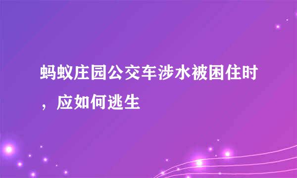 蚂蚁庄园公交车涉水被困住时，应如何逃生