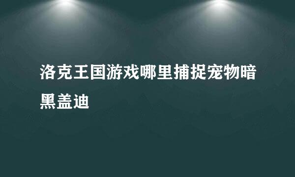 洛克王国游戏哪里捕捉宠物暗黑盖迪