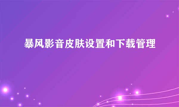 暴风影音皮肤设置和下载管理