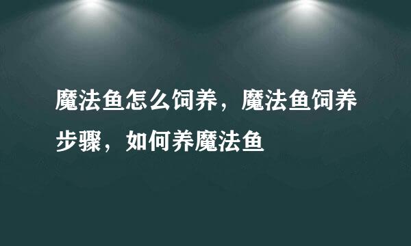 魔法鱼怎么饲养，魔法鱼饲养步骤，如何养魔法鱼