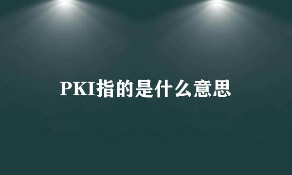 PKI指的是什么意思