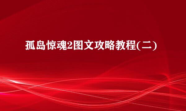 孤岛惊魂2图文攻略教程(二)