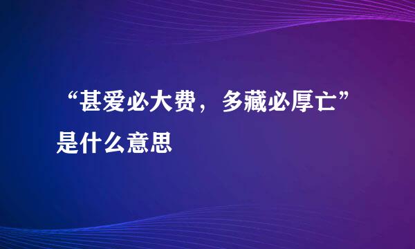 “甚爱必大费，多藏必厚亡”是什么意思