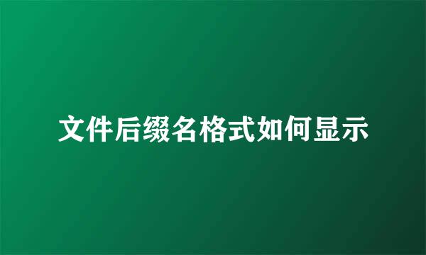 文件后缀名格式如何显示