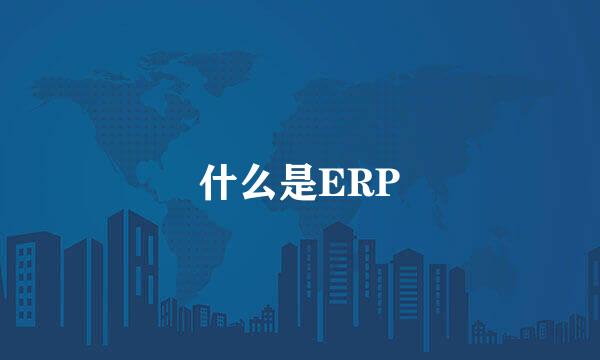 什么是ERP