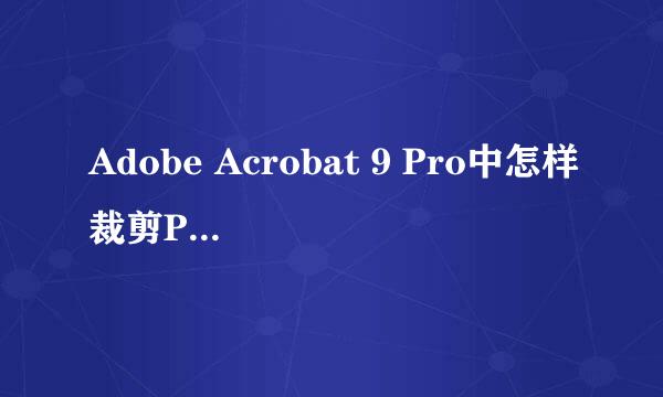 Adobe Acrobat 9 Pro中怎样裁剪PDF页面