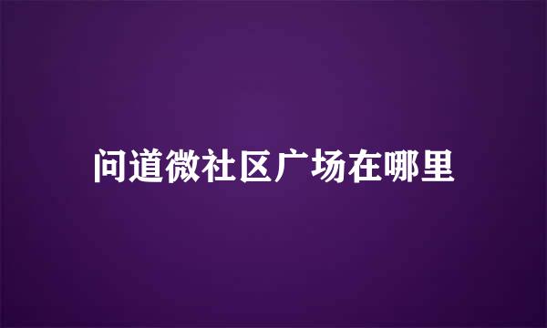 问道微社区广场在哪里