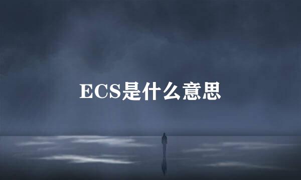 ECS是什么意思