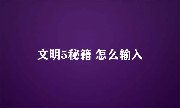 文明5秘籍 怎么输入