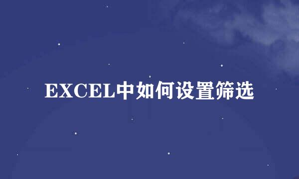 EXCEL中如何设置筛选