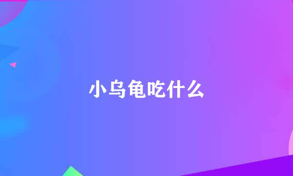 小乌龟吃什么