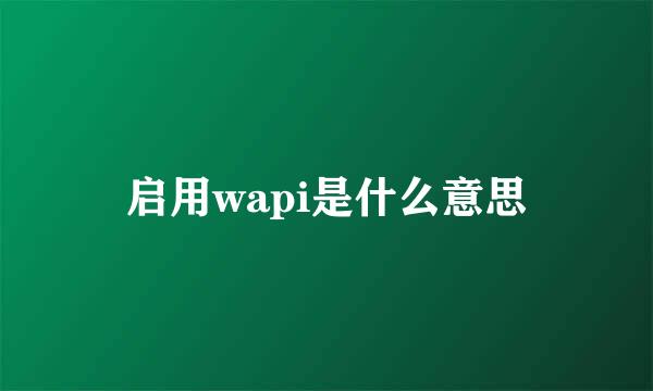 启用wapi是什么意思