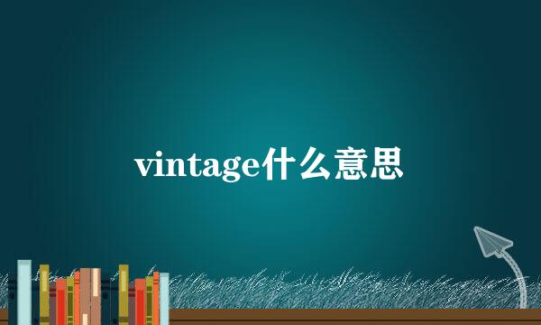 vintage什么意思