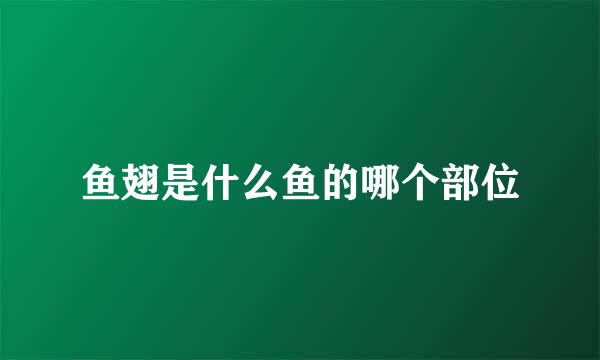 鱼翅是什么鱼的哪个部位