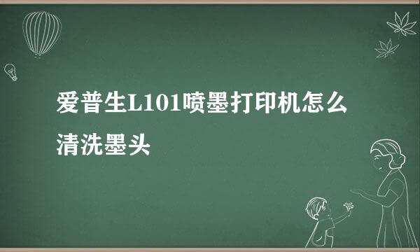 爱普生L101喷墨打印机怎么清洗墨头