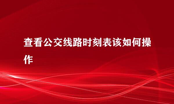 查看公交线路时刻表该如何操作