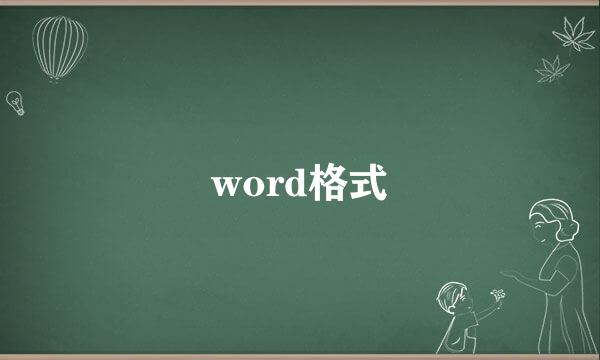 word格式