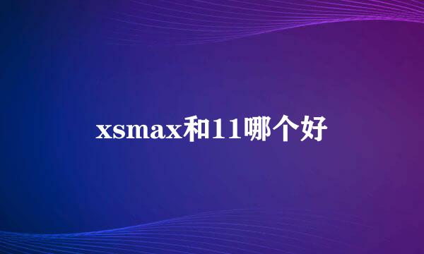 xsmax和11哪个好