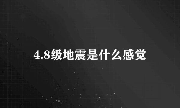 4.8级地震是什么感觉