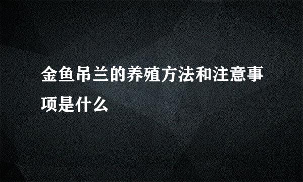 金鱼吊兰的养殖方法和注意事项是什么