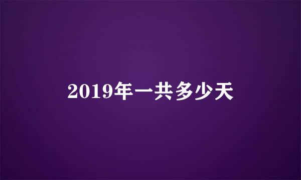 2019年一共多少天