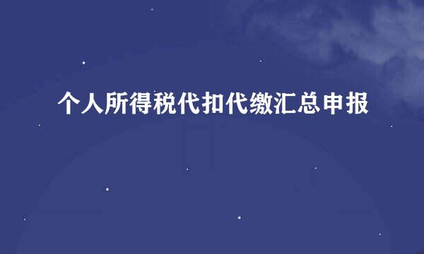 个人所得税代扣代缴汇总申报