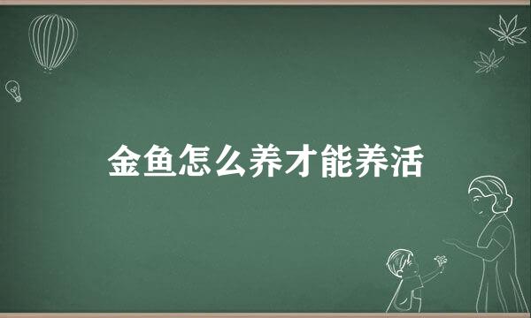 金鱼怎么养才能养活