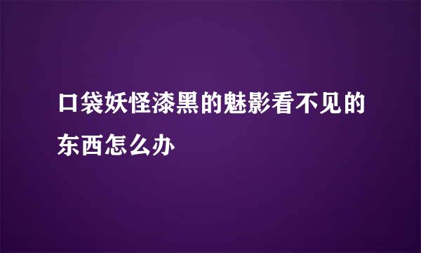 口袋妖怪漆黑的魅影看不见的东西怎么办