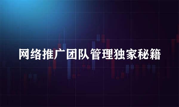 网络推广团队管理独家秘籍