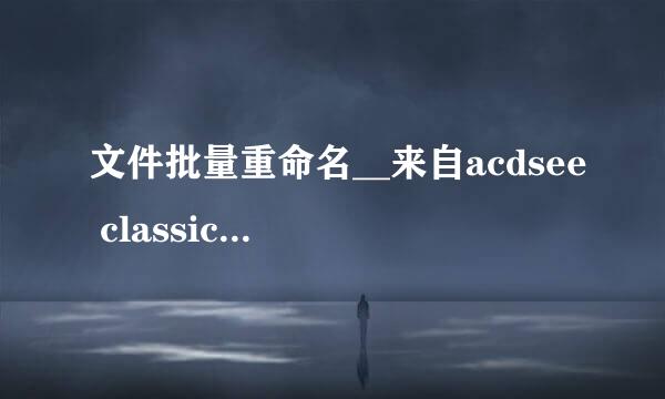 文件批量重命名__来自acdsee classic 2.44