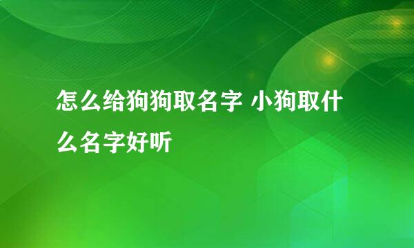 怎么给狗狗取名字 小狗取什么名字好听