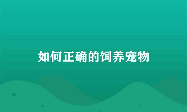 如何正确的饲养宠物