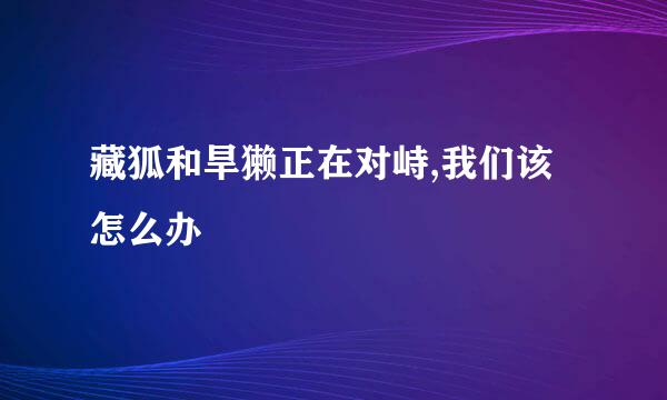 藏狐和旱獭正在对峙,我们该怎么办