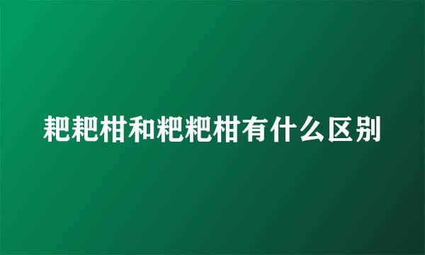 耙耙柑和粑粑柑有什么区别