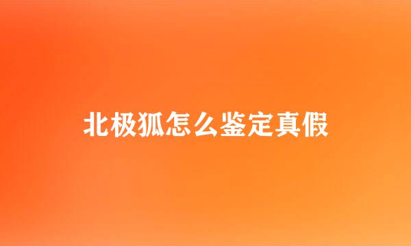 北极狐怎么鉴定真假