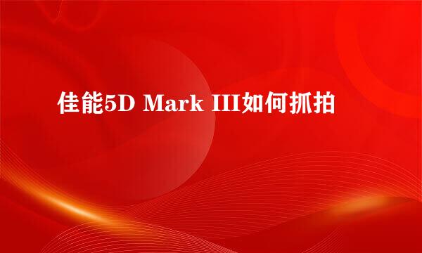 佳能5D Mark III如何抓拍