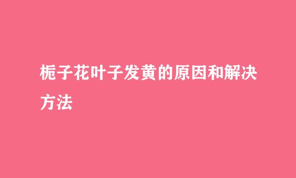 栀子花叶子发黄的原因和解决方法