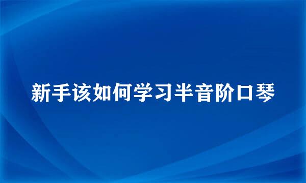 新手该如何学习半音阶口琴